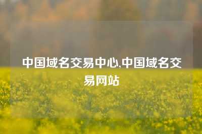 中国域名交易中心,中国域名交易网站