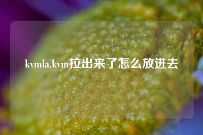 kvmla,kvm拉出来了怎么放进去