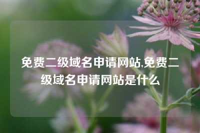 免费二级域名申请网站,免费二级域名申请网站是什么