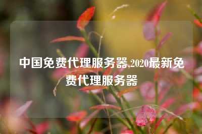 中国免费代理服务器,2020最新免费代理服务器