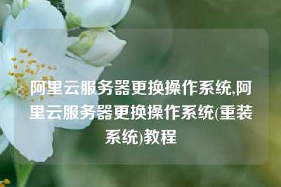 阿里云服务器更换操作系统,阿里云服务器更换操作系统(重装系统)教程