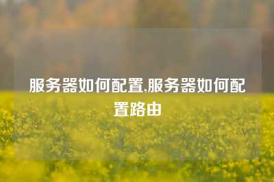 服务器如何配置,服务器如何配置路由