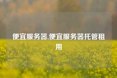 便宜服务器,便宜服务器托管租用