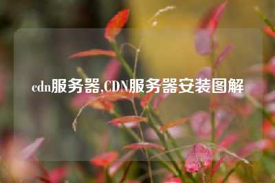 cdn服务器,CDN服务器安装图解