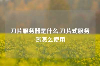 刀片服务器是什么,刀片式服务器怎么使用