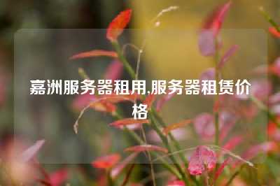嘉洲服务器租用,服务器租赁价格