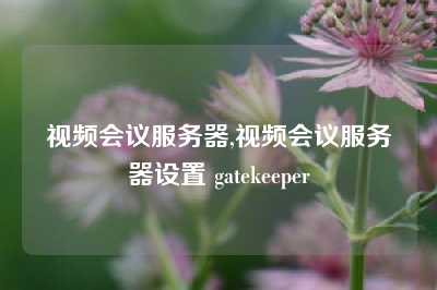 视频会议服务器,视频会议服务器设置 gatekeeper