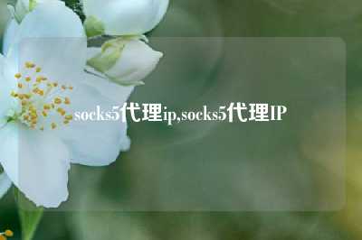 socks5代理ip,socks5代理IP