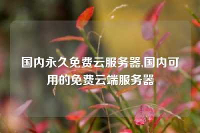 国内永久免费云服务器,国内可用的免费云端服务器