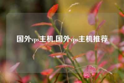 国外vps主机,国外vps主机推荐