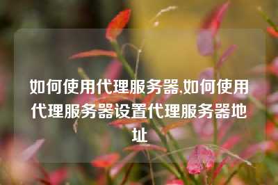 如何使用代理服务器,如何使用代理服务器设置代理服务器地址