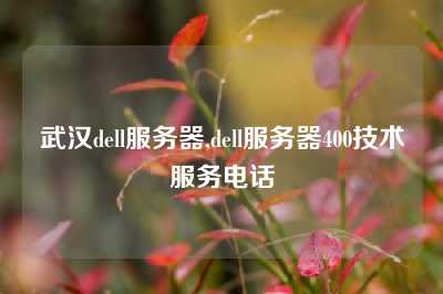武汉dell服务器,dell服务器400技术服务电话