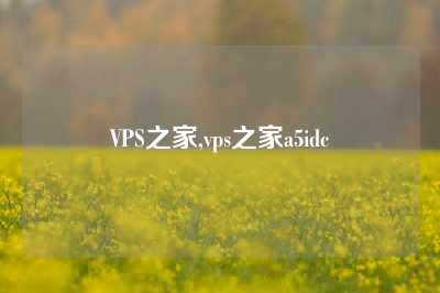 VPS之家,vps之家a5idc