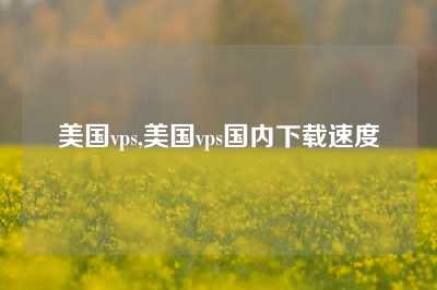 美国vps,美国vps国内下载速度