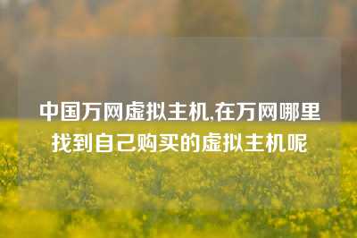 中国万网虚拟主机,在万网哪里找到自己购买的虚拟主机呢