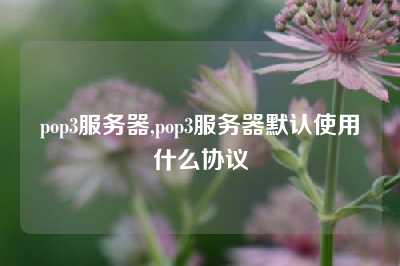 pop3服务器,pop3服务器默认使用什么协议