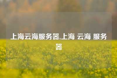 上海云海服务器,上海 云海 服务器
