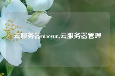 云服务器niaoyun,云服务器管理