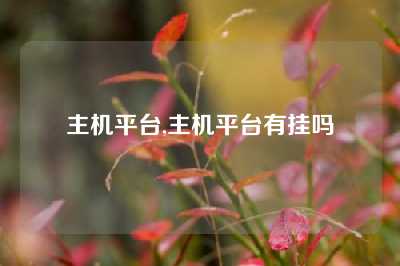 主机平台,主机平台有挂吗