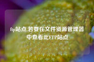 ftp站点,若要在文件资源管理器中查看此FTP站点