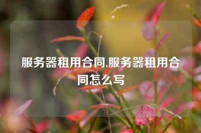 服务器租用合同,服务器租用合同怎么写