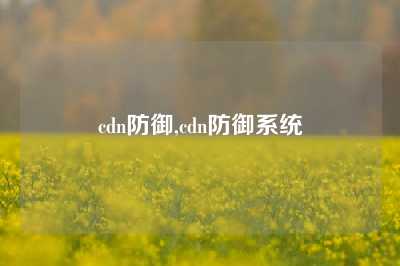 cdn防御,cdn防御系统