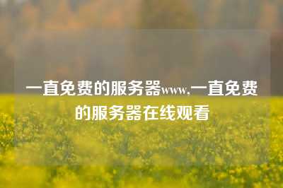 一直免费的服务器www,一直免费的服务器在线观看