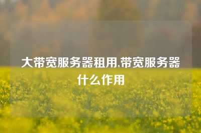 大带宽服务器租用,带宽服务器什么作用