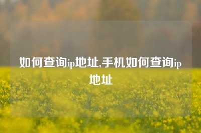 如何查询ip地址,手机如何查询ip地址