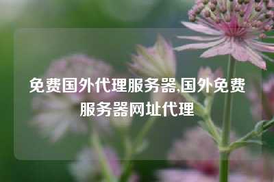 免费国外代理服务器,国外免费服务器网址代理