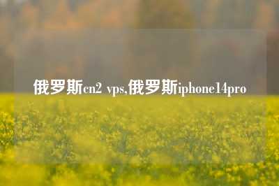 俄罗斯cn2 vps,俄罗斯iphone14pro