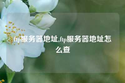 ftp服务器地址,ftp服务器地址怎么查