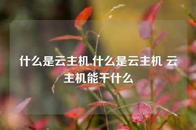 什么是云主机,什么是云主机 云主机能干什么