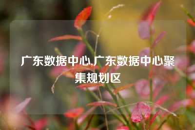 广东数据中心,广东数据中心聚集规划区