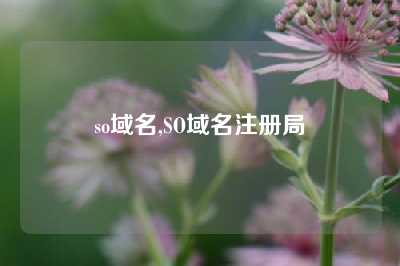 so域名,SO域名注册局