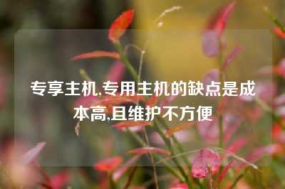 专享主机,专用主机的缺点是成本高,且维护不方便
