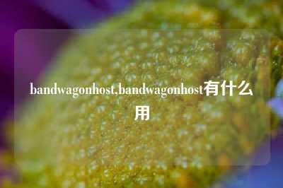 bandwagonhost,bandwagonhost有什么用