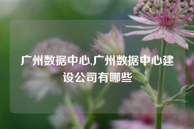 广州数据中心,广州数据中心建设公司有哪些