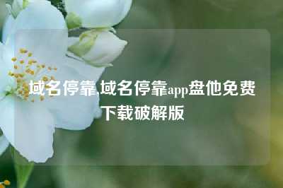 域名停靠,域名停靠app盘他免费下载破解版