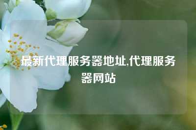 最新代理服务器地址,代理服务器网站