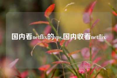 国内看netflix的vps,国内收看netflix