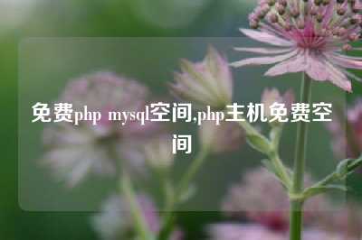 免费php mysql空间,php主机免费空间