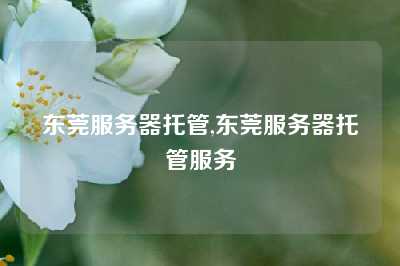 东莞服务器托管,东莞服务器托管服务