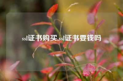 ssl证书购买,ssl证书要钱吗