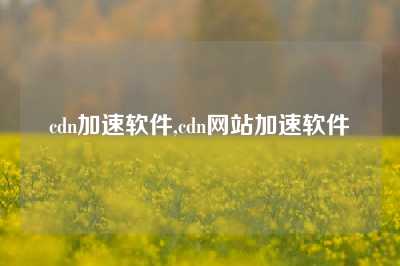 cdn加速软件,cdn网站加速软件