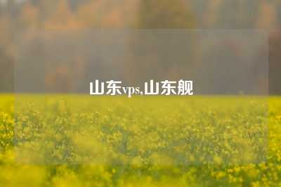 山东vps,山东舰