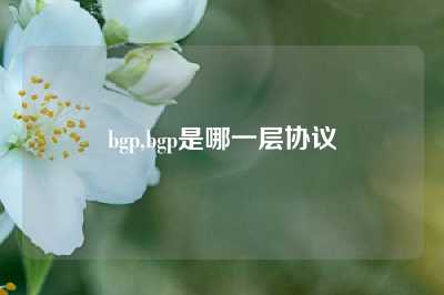 bgp,bgp是哪一层协议
