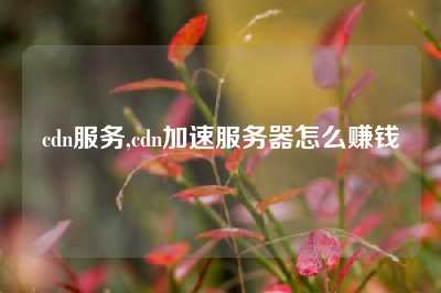 cdn服务,cdn加速服务器怎么赚钱