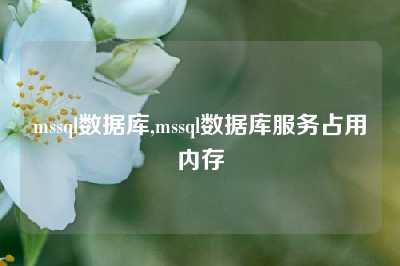 mssql数据库,mssql数据库服务占用内存
