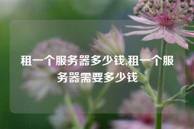 租一个服务器多少钱,租一个服务器需要多少钱